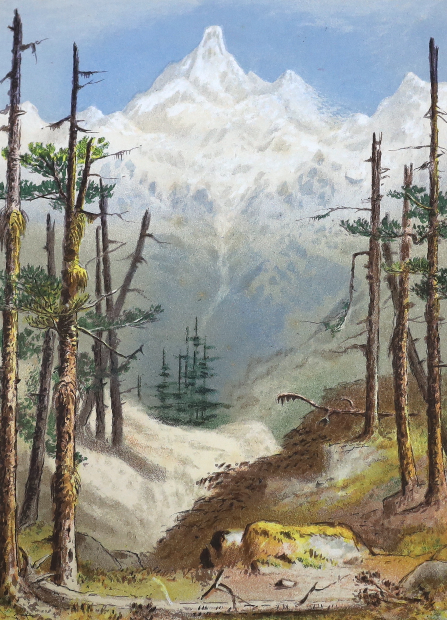 [Mazuchelli, Nina Elizabeth] - The Indian Alps and How We Crossed Them ... By a Lady Pioneer ... engraved title vignette, folded map (outline colour) and 10 chromolithographed plates, text illus.; publisher's gilt pictor